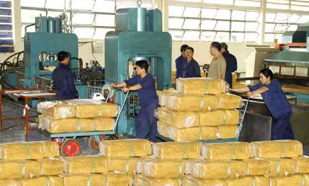 Sở N&ocirc;ng nghiệp v&agrave; Ph&aacute;t triển n&ocirc;ng th&ocirc;n trả lời kiến nghị của cử tri