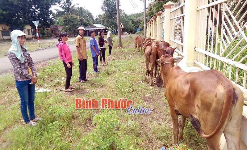 Quy trình rà soát hộ nghèo, hộ cận nghèo