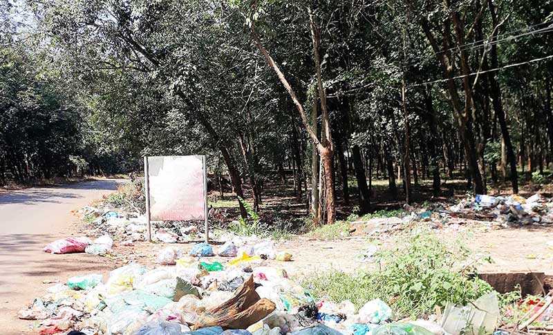 Cần đổ r&aacute;c đ&uacute;ng nơi quy định