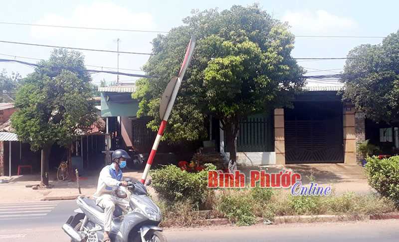 Biển báo giao thông... chờ đổ