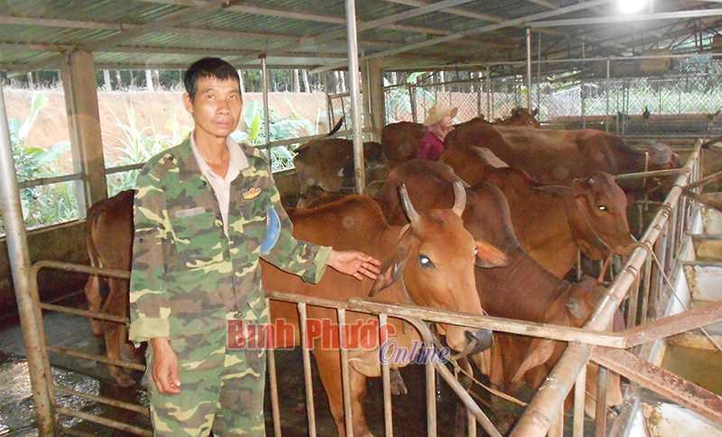 Không chịu thất bại