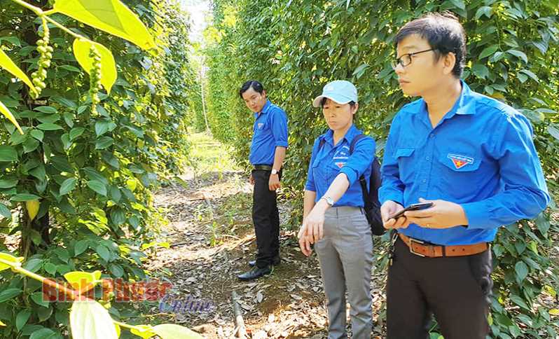 2.200 lao động được giải quyết việc làm