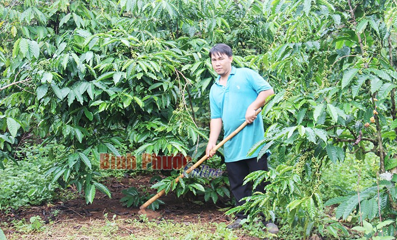 Hội Nông dân huyện bù đăng - “ngôi nhà chung” của hội viên