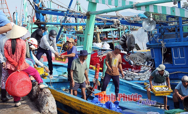 Đến năm 2030, kinh tế thuần biển đóng góp 10% GDP cả nước