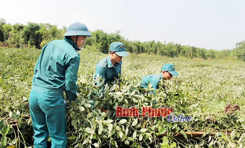 Lộc Ninh: Lốc xoáy gây thiệt hại hàng tỷ đồng