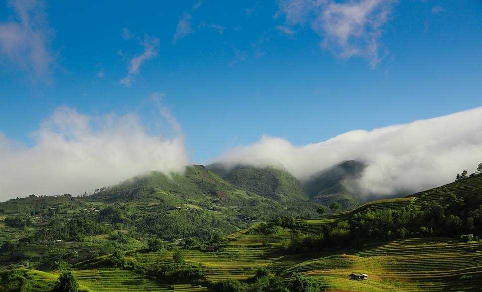 Mùa vàng trên danh thắng Mù Cang Chải