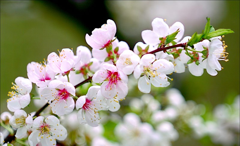 Động lực ph&aacute;t triển