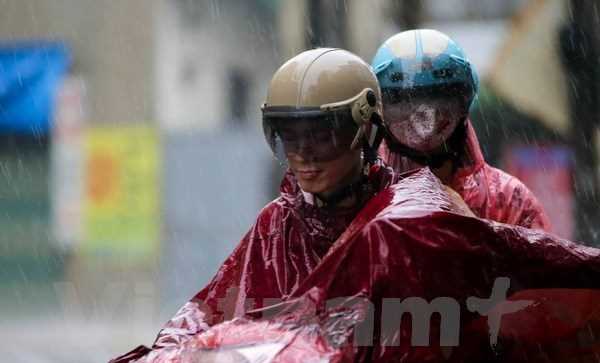 Áp thấp nhiệt đới gây gió giật mạnh nhất cấp 8, biển động mạnh