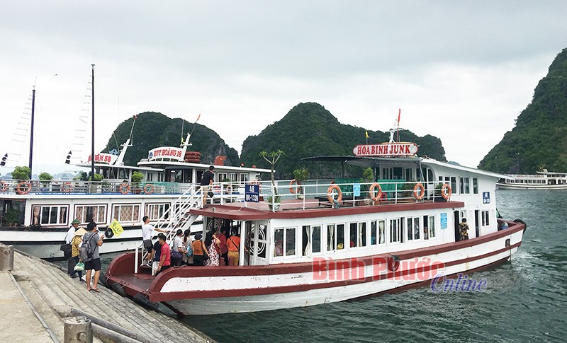 Ngỡ ng&agrave;ng với Hạ Long