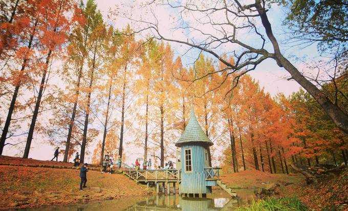 'Sống ảo' trong vườn cổ tích đẹp như mơ ở Nhật Bản