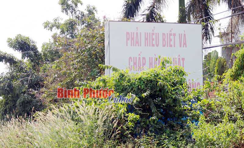 Pa-nô tuyên truyền gì trong lùm cây?