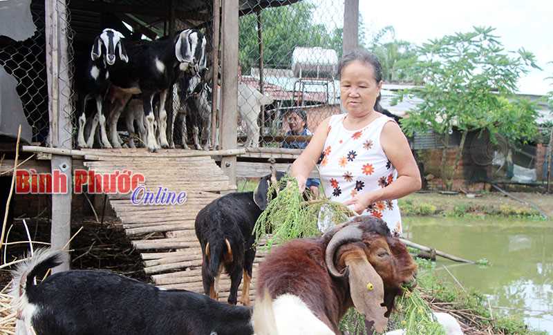 Phụ nữ chung tay xây dựng nông thôn mới