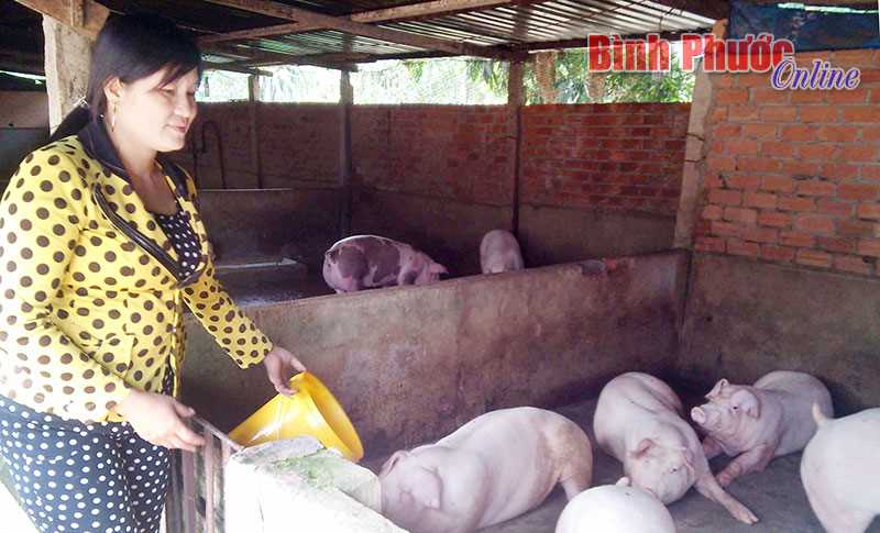 Phụ nữ giúp nhau “17+1”