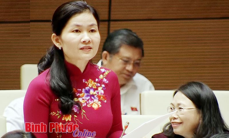 Đại biểu Quốc hội B&igrave;nh Phước đề xuất x&atilde; hội h&oacute;a thi h&agrave;nh &aacute;n h&igrave;nh sự trong một số lĩnh vực