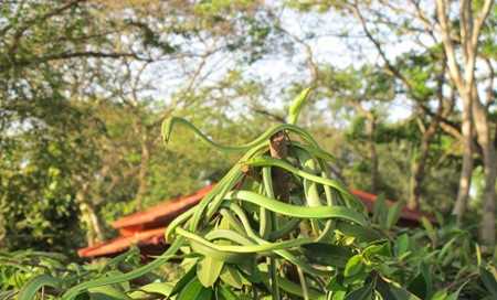 4 điểm du lịch ở Việt Nam khiến khách vừa đi vừa rùng mình sợ hãi