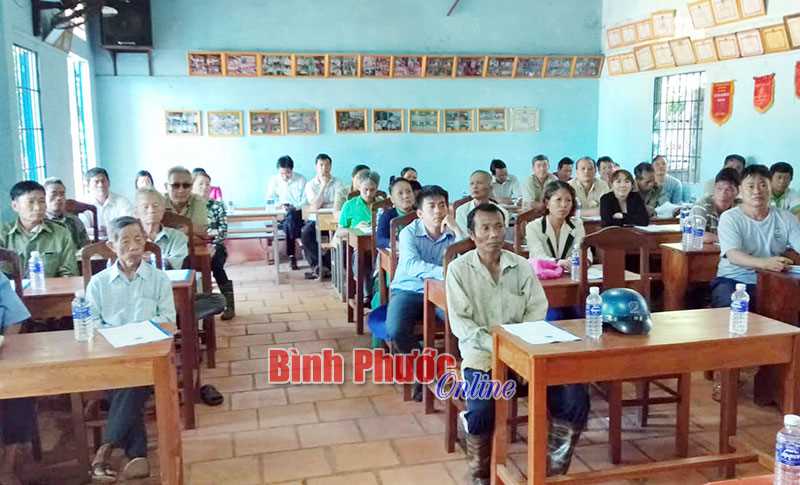 Tập huấn chăm sóc, phòng trừ sâu bệnh cho cây điều tại Bù Nho