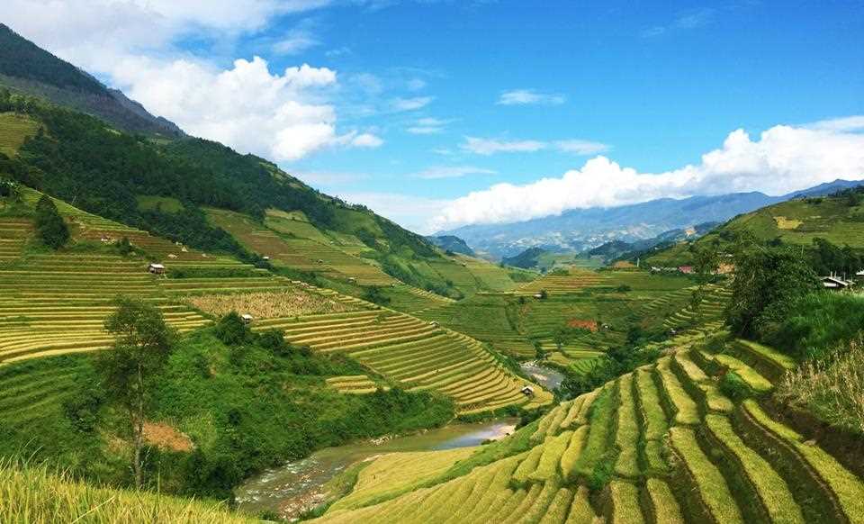 Mù Cang Chải đẹp ngỡ ngàng giữa mùa vàng níu chân mọi du khách
