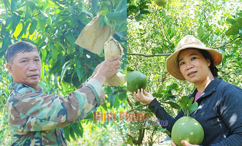 Xuân mới ở Thạch Màng