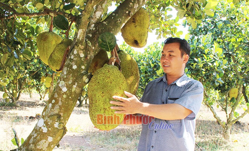 Thành công nhờ chọn hướng đi phù hợp