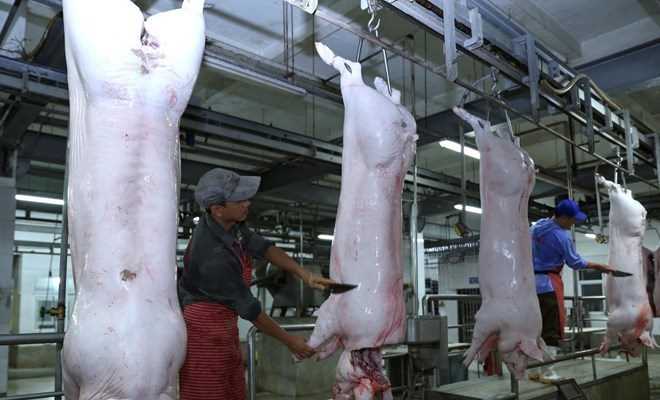 Mất cân bằng cung-cầu thịt lợn khiến CPI tăng thêm 0,03%