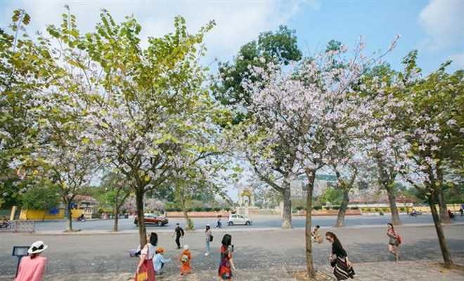 Bắc Bộ sáng sớm và đêm trời lạnh, Nam Bộ đề phòng thời tiết nguy hiểm