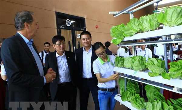 Tìm kiếm các ý tưởng sáng tạo cho thành phố thông minh