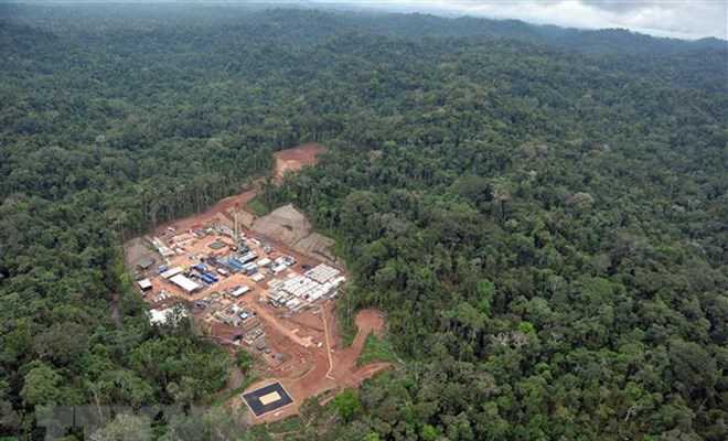 Biến đổi khí hậu: Amazon - “Lá phổi” đang bốc cháy của hành tinh