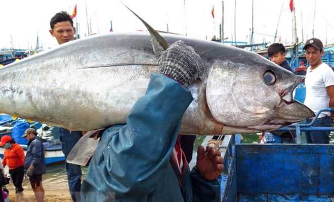 10 năm Chiến lược biển: Hiệu quả từ phát triển nguồn nhân lực