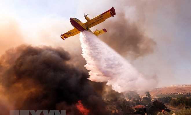 Đã có 77 người thiệt mạng trong vụ cháy rừng ở bang California