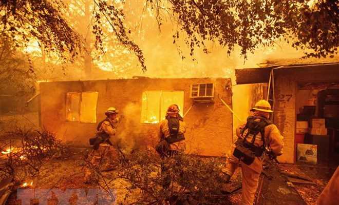 Cháy rừng thiêu rụi hơn 7.000 ngôi nhà và tòa nhà ở bang California