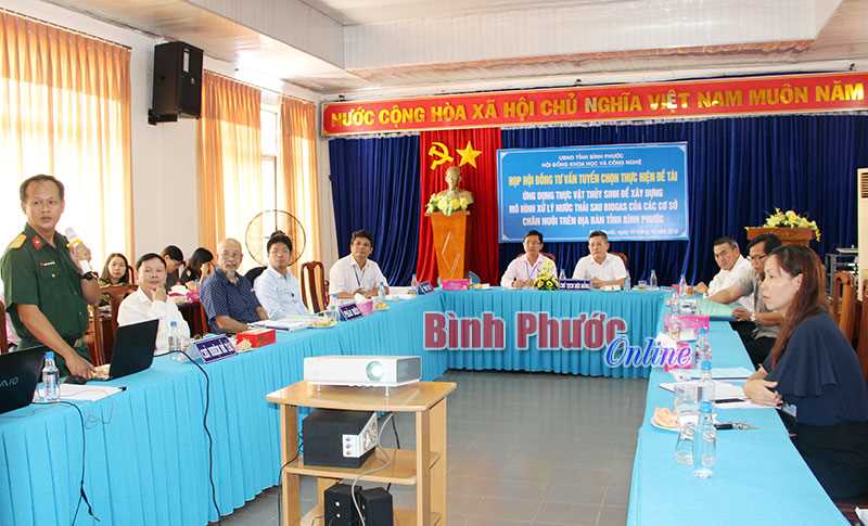 Tuyển chọn nghiên cứu ứng dụng thực vật thủy sinh để xử lý nước thải sau biogas