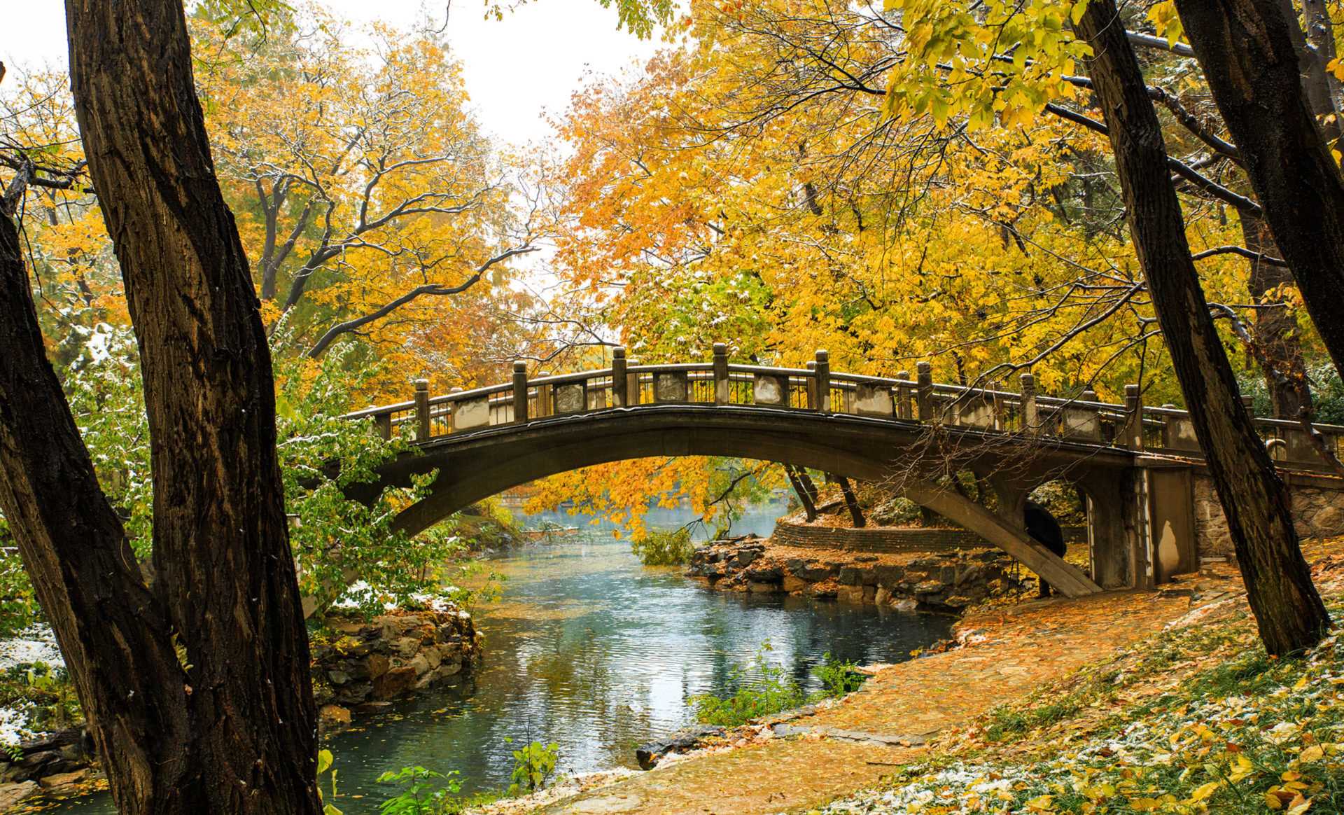 Xem thu nhuộm vàng cây, lá ở Trung Quốc