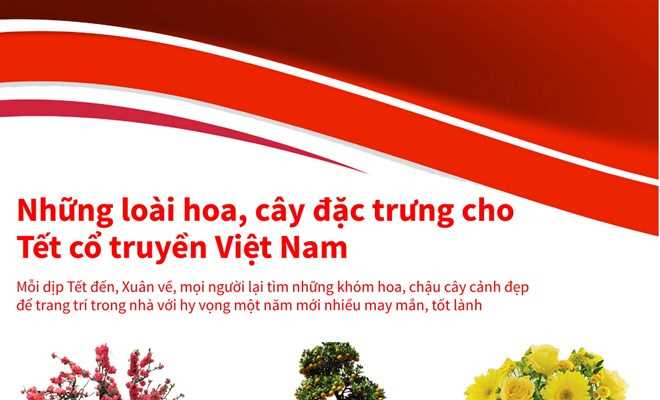 Những lo&agrave;i hoa, c&acirc;y đặc trưng cho Tết cổ truyền Việt Nam