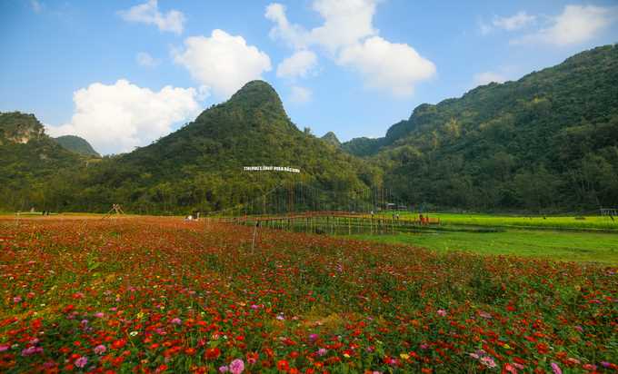 Bên trong thung lũng hoa lớn nhất Việt Nam