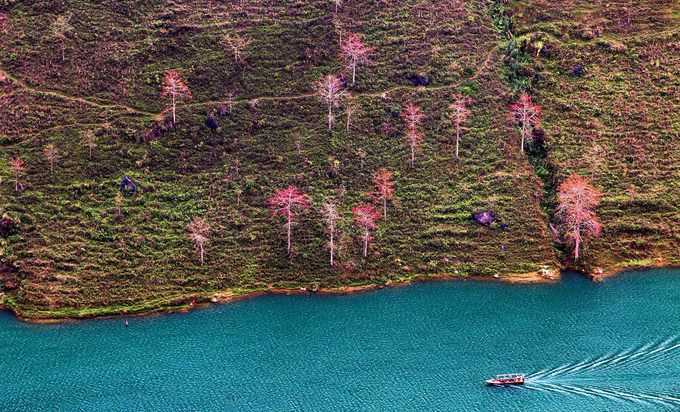 Hoa gạo đỏ rực bên bờ sông Nho Quế