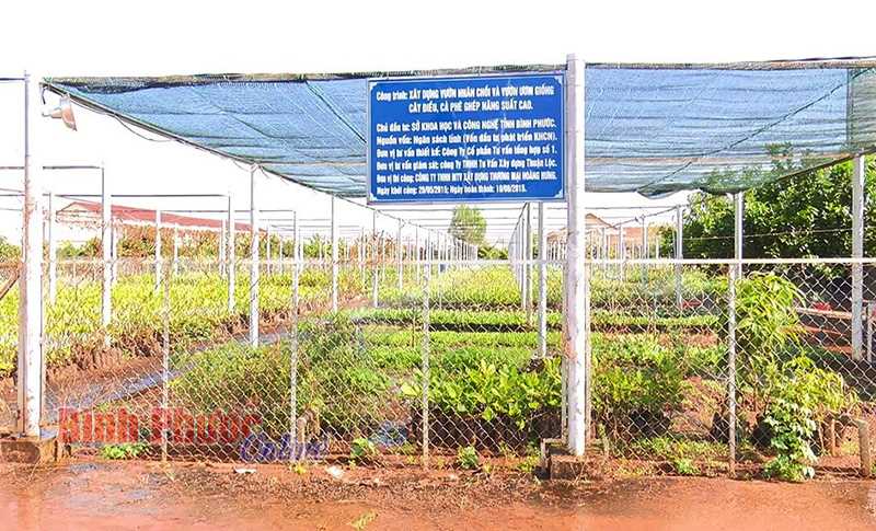 112 lớp tập huấn về cây trồng và vật nuôi