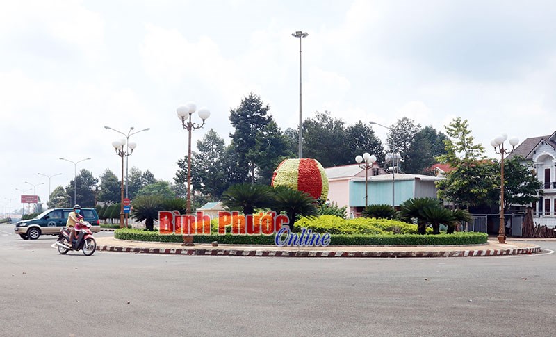 Đồng Ph&uacute; quyết liệt thực hiện Đề &aacute;n 999 - B&agrave;i cuối