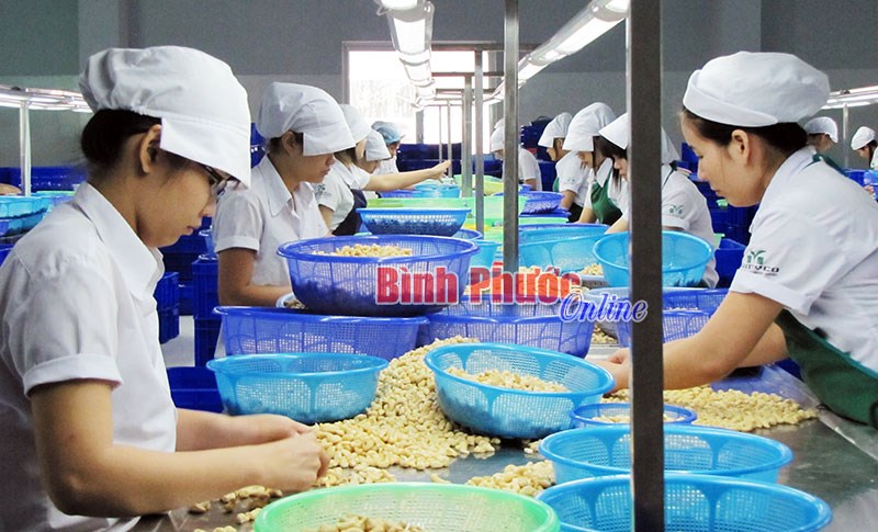 Phát triển thương mại điện tử - hướng đi mới trong tiếp cận thị trường