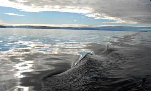 Niger: Nỗ lực tìm kiếm hơn 40 người mất tích trong vụ chìm tàu