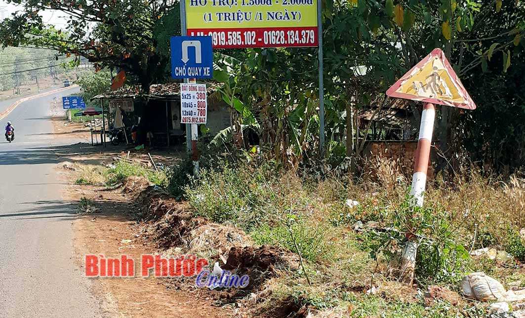 2 biển b&aacute;o giao th&ocirc;ng bị g&atilde;y đổ