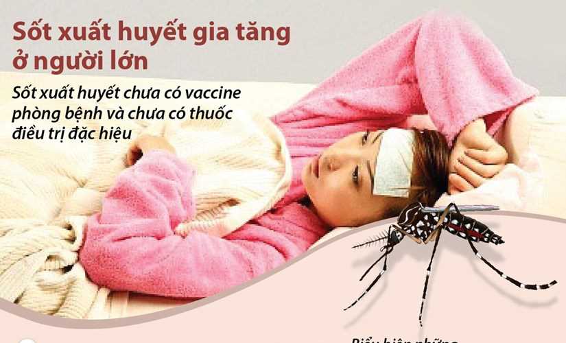 Số ca mắc sốt xuất huyết đang gia tăng ở người lớn
