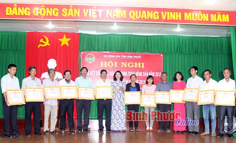 To&agrave;n tỉnh c&oacute; 85 hộ n&ocirc;ng d&acirc;n sản xuất kinh doanh giỏi cấp trung ương
