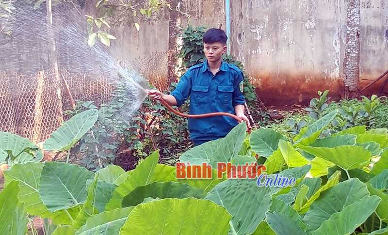 Đảng vi&ecirc;n trẻ ti&ecirc;n phong nhập ngũ