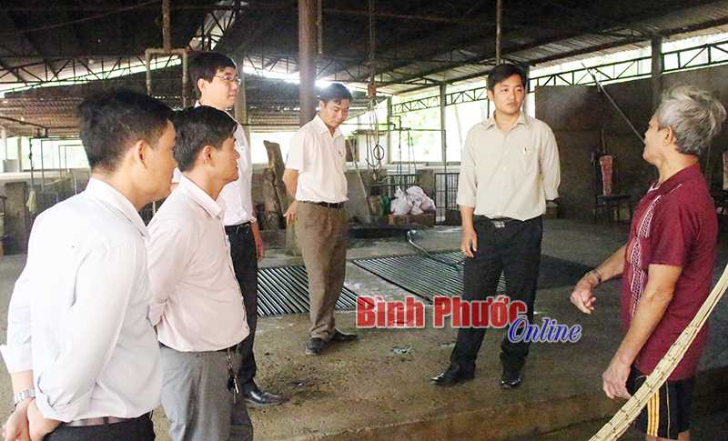 Phú Riềng tăng cường phòng, chống dịch tả lợn châu Phi