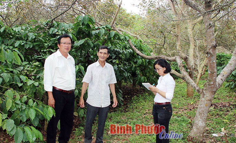 Nh&agrave; n&ocirc;ng Phạm Hữu To&agrave;n chống biến đổi kh&iacute; hậu