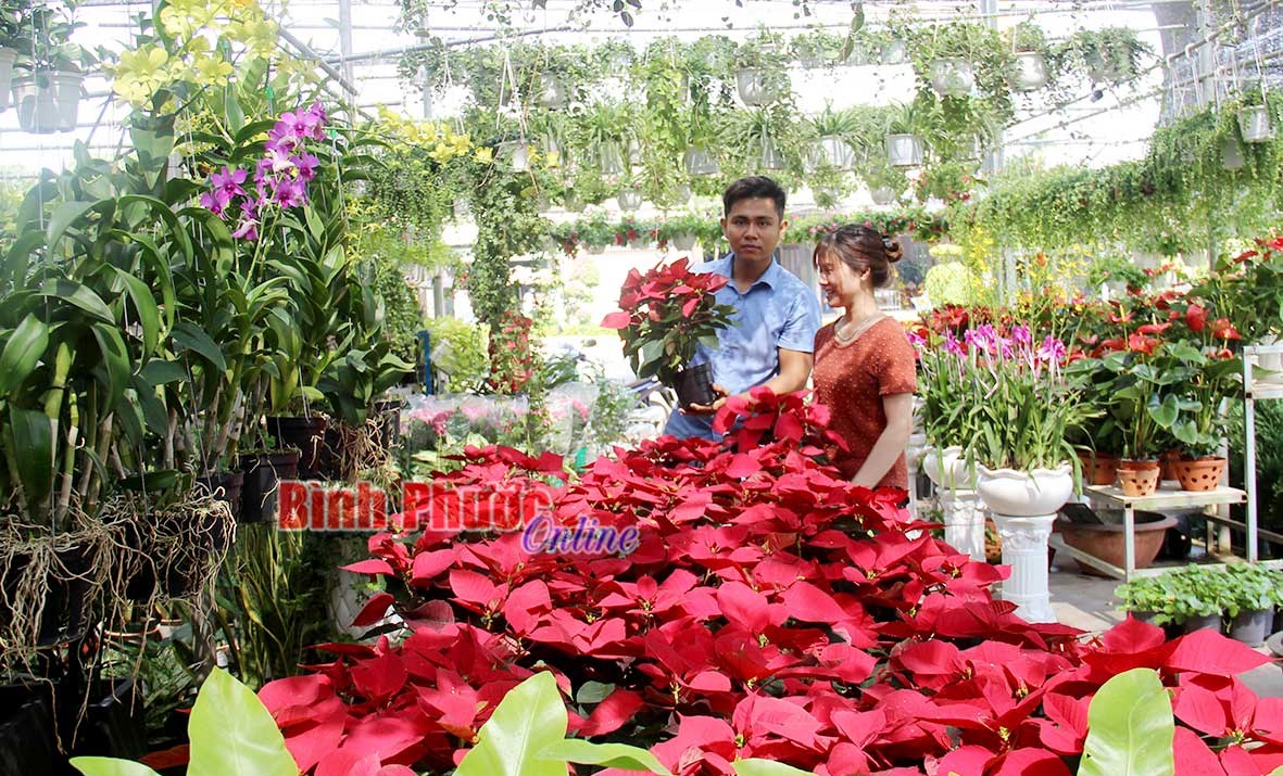 Hoa cảnh vào xuân