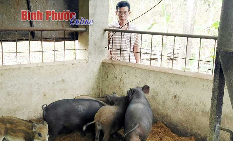 Cầu nối đưa khoa học, kỹ thuật đến nông dân