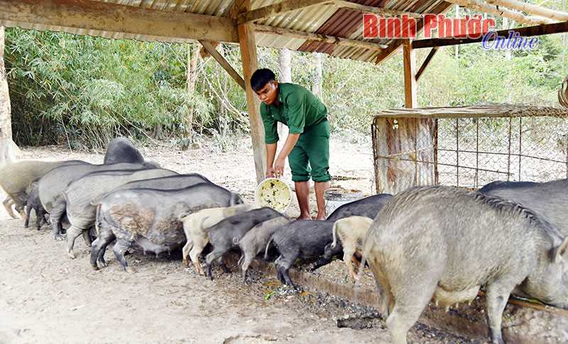 Đảng vi&ecirc;n Điểu D&iacute;p năng nổ, nhiệt t&igrave;nh với nhiệm vụ