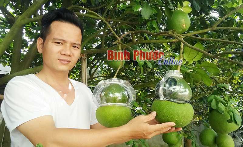 Nông dân Chơn Thành ứng dụng KH-KT phát triển kinh tế