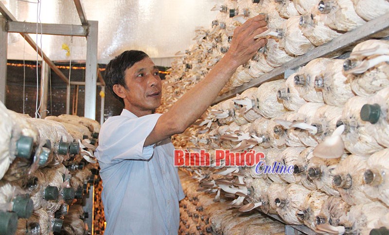 Nông dân nghĩ cách làm giàu